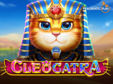 Market açmak için gerekli belgeler. Casino vegas slot.99